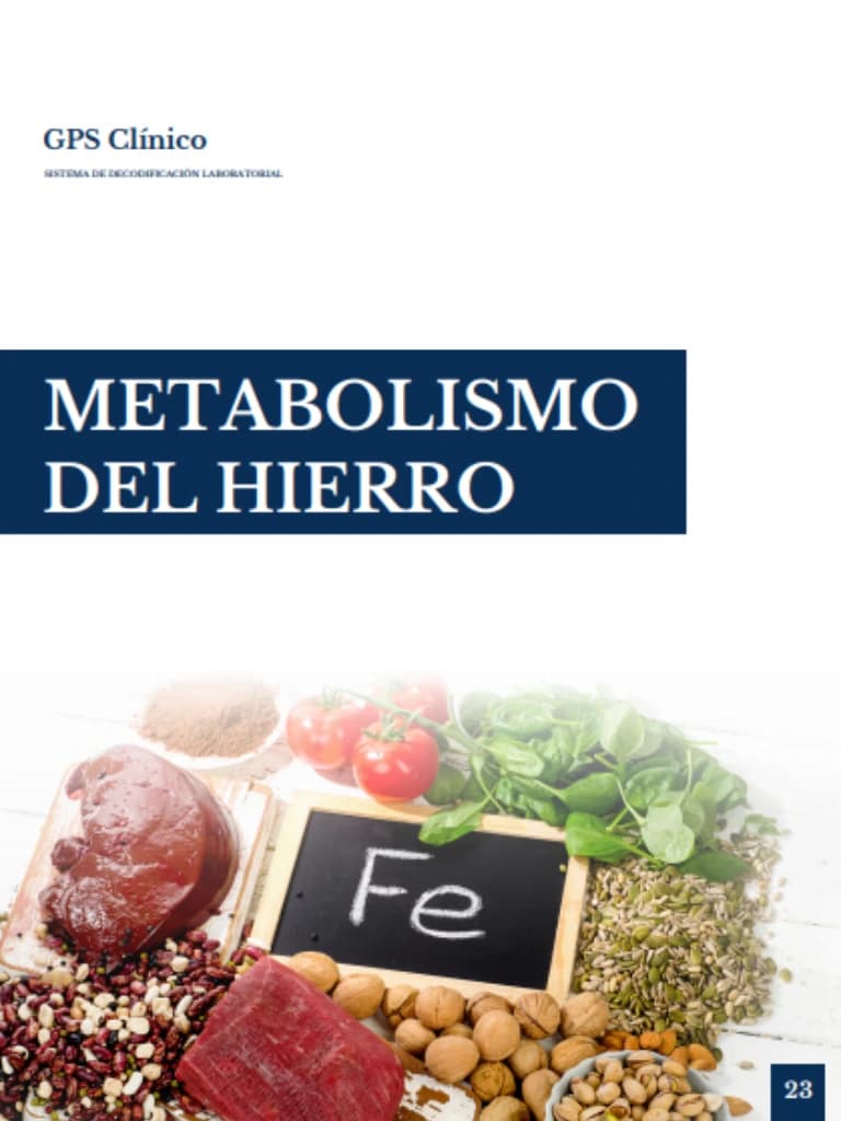 Metabolismo del Hierro