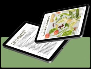 Orientación para la elaboración de planes alimenticios: