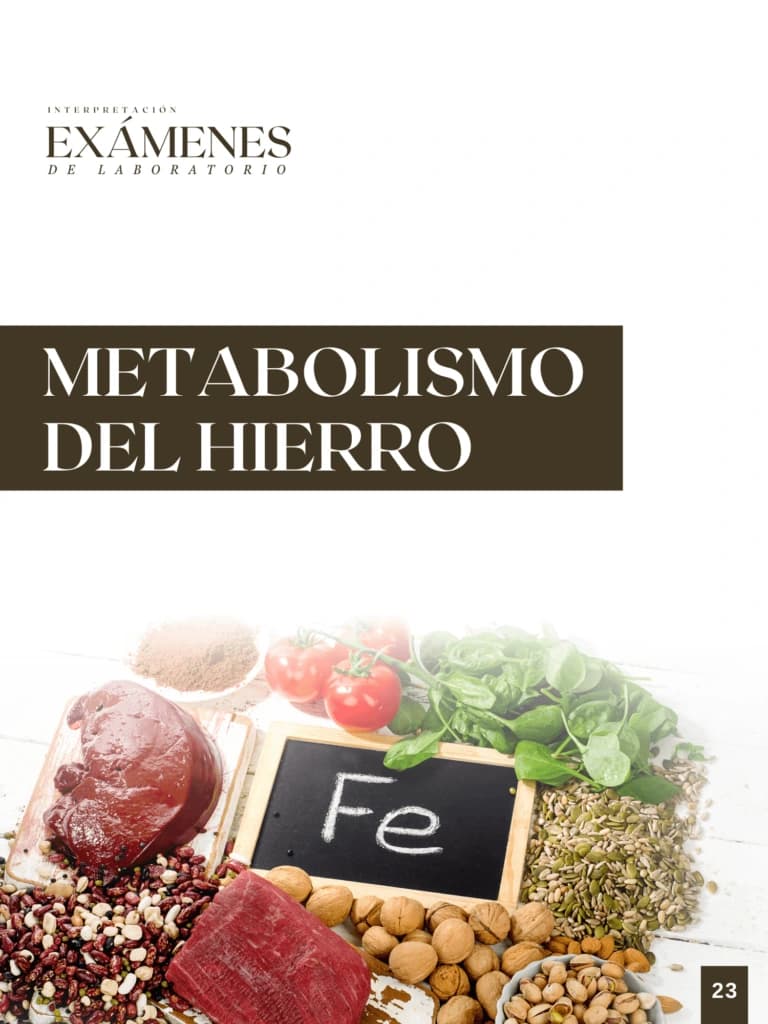 Metabolismo del Hierro